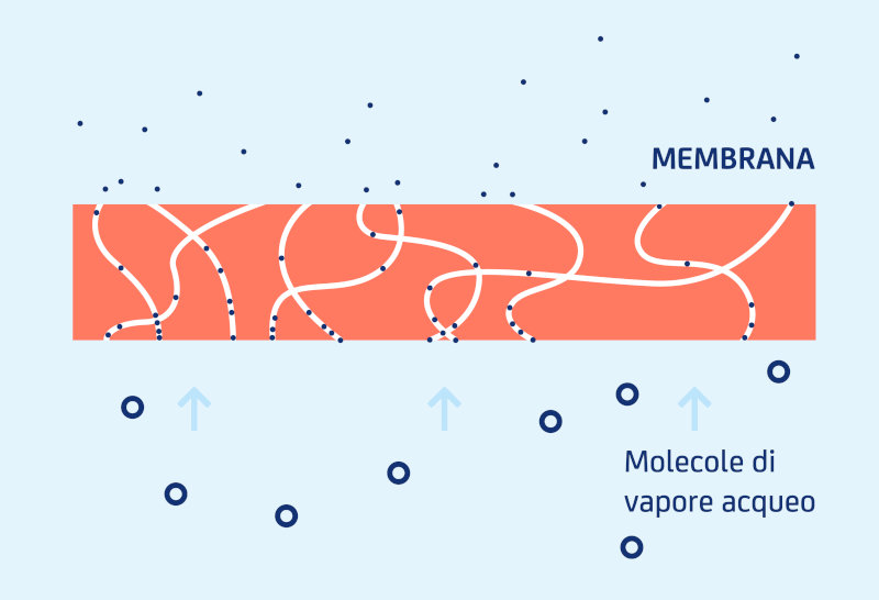 Membrana Sympatex